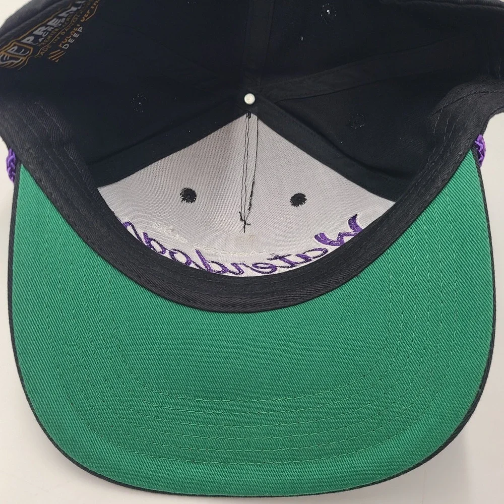 Philadelphia Waterdogs Hat Snapback Black Purple Rope PLL Lacrosse Script Men